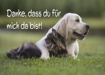 Klappkarten „Danke dass du für mich da bist“