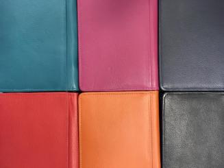 Radikal REDUZIERT! 1A-SONDERARTIKEL: Silberbibel - Standardbibel Leder 