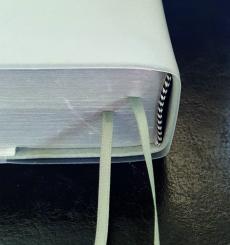 Silberbibel Grossformat Buchumschlag 