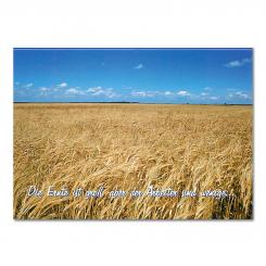 Karte + Umschlag Karte E02