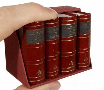 Minibuch - Die vier Evangelien 