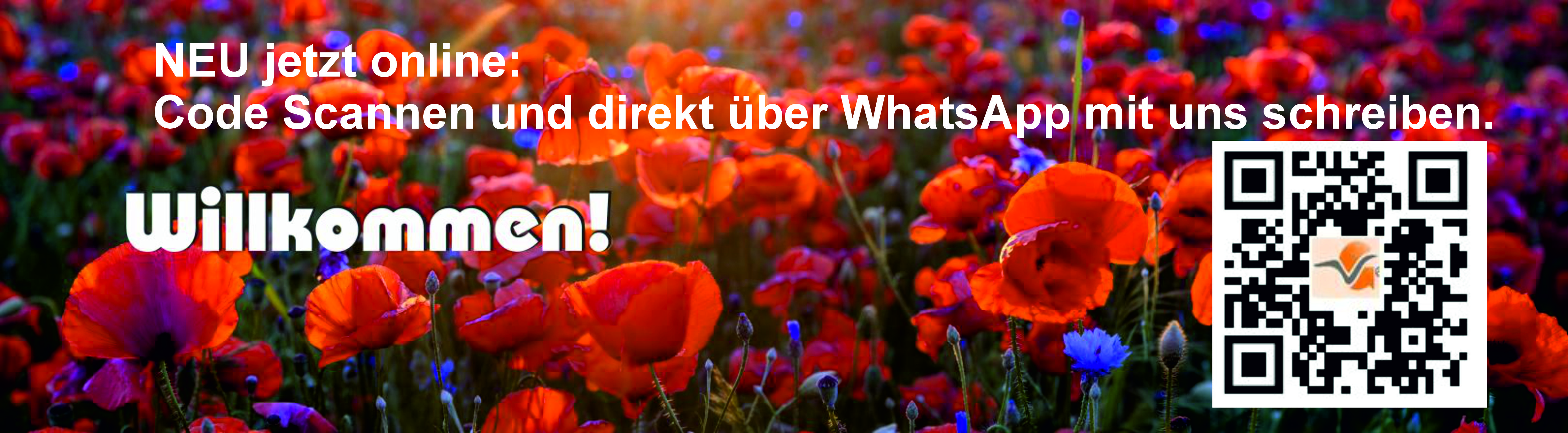 Whatsapp Banner